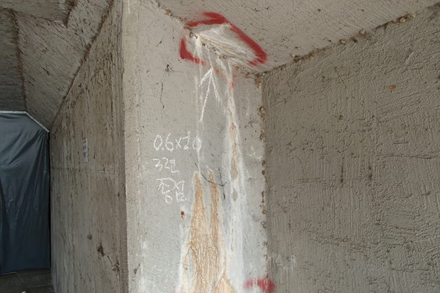 12-3-1(9)백태.jpg